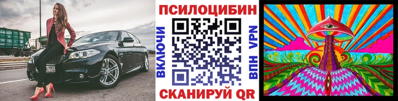 где найти наркотики  Богданович  omg ССЫЛКА  Псилоцибиновые грибы Psilocybe 