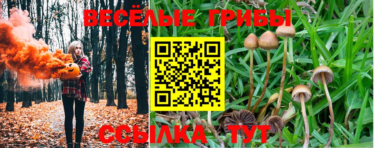 Богданович  Галлюциногенные грибы мухоморы  Вход с VPN 