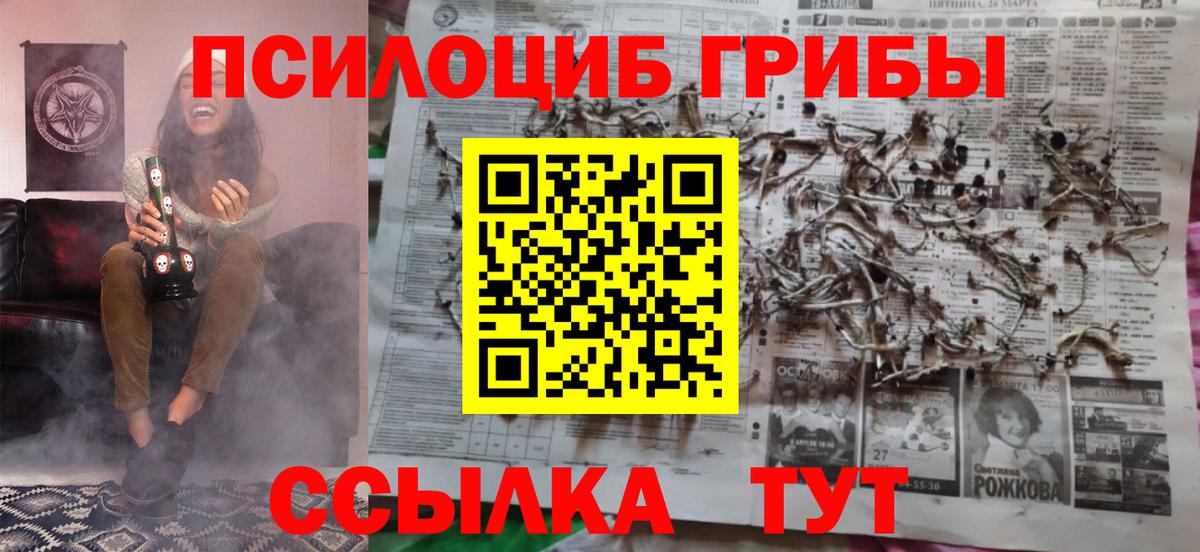 Псилоцибиновые грибы GOLDEN TEACHER Богданович